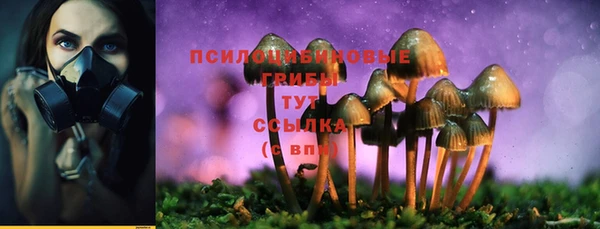 альфа пвп Бугульма