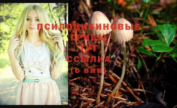 прущие крисы Бронницы
