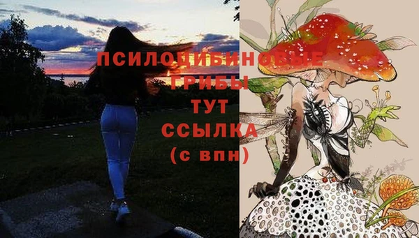 альфа пвп Бугульма