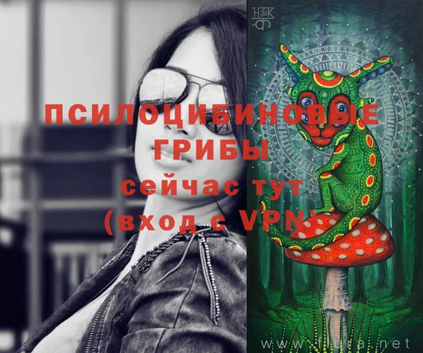 прущие крисы Бронницы